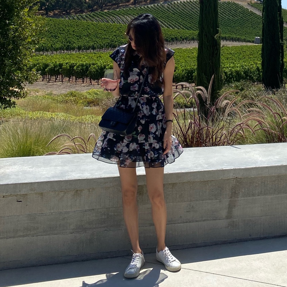 Rebecca Minkoff Ollie Dress